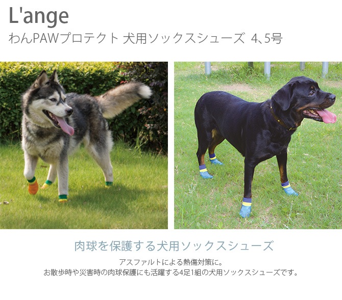 L'ange PAWץƥ ѥå塼