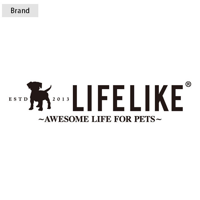 LIFELIKE �饤�ե饤�� �ɥ饤�֥ܥå�������꡼