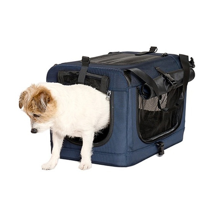 LIFELIKE �饤�ե饤�� �ɥ饤�֥ܥå�������꡼