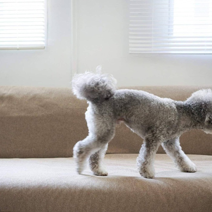 JOURNAL STANDARD FURNITURE ���㡼�ʥ륹��������ɥե��˥��㡼 HABITAT �ϥӥ� ���ե��٥å��� �����������С� �ӥ��� �ڥå��б� ��180cm