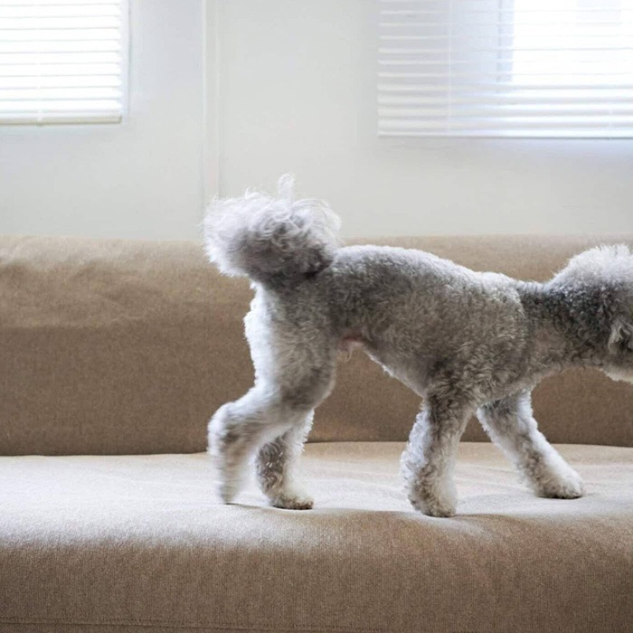 JOURNAL STANDARD FURNITURE ���㡼�ʥ륹��������ɥե��˥��㡼 HABITAT �ϥӥ� ���ե��٥å��� �����������С� �ӥ��� �ڥå��б� ��180cm