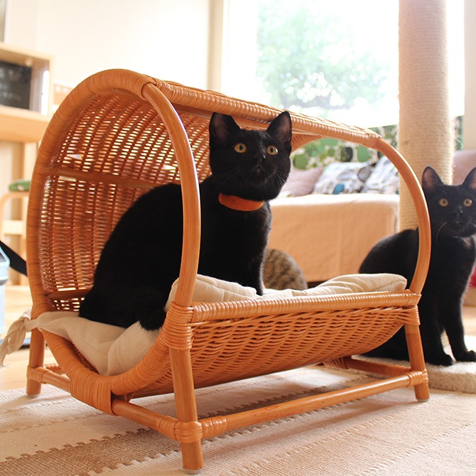 ラタン トンネルベッド 商品種別 ペットアイテム 猫用家具 ハウス ベッド ベッド Uminecco ウミネッコ ラタン トンネルベッド 商品種別 ペットアイテム 猫用家具 ハウス ベッド ベッド Uminecco ウミネッコ
