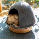 Fumi �ե� �ڥåȤβ�