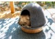 Fumi �ե� �ڥåȤβ�
