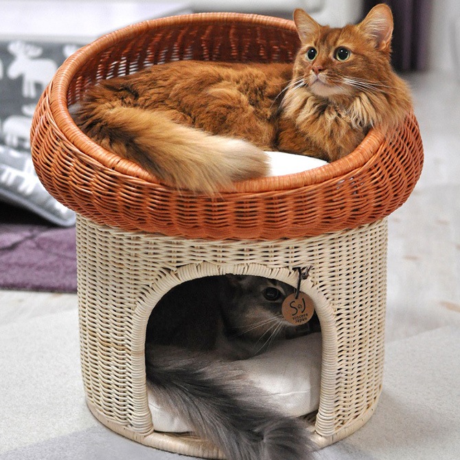 �饿�� �ޥå���롼��