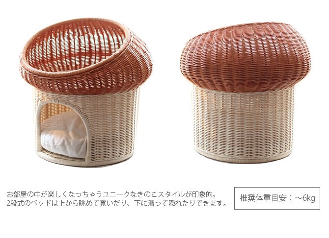 �饿�� �ޥå���롼��