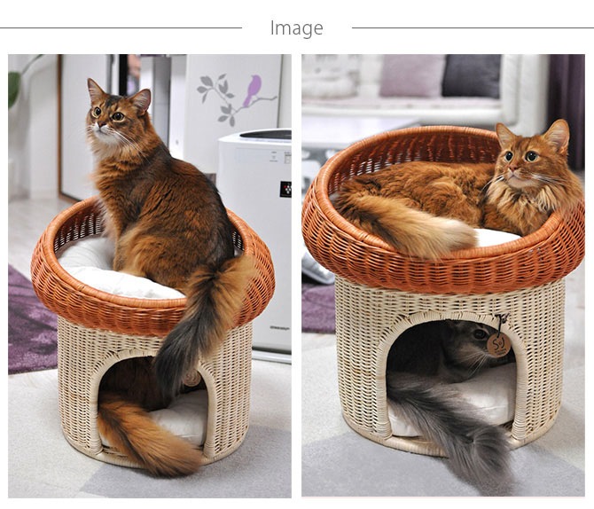 �饿�� �ޥå���롼��