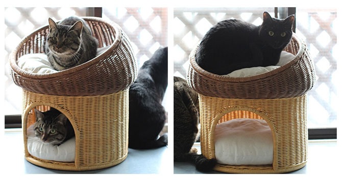 �饿�� �ޥå���롼��