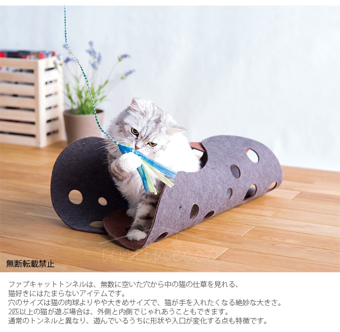 OPPO(���å�) FabCat tunnel �ե��֥���åȥȥ�ͥ� OT-669-500-0