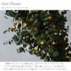 Horn Please �ۡ��� �ץ꡼�� LED �磻�䡼�饤�� �֥�� 1.5m