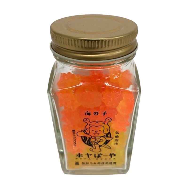 キャラクター ホヤぼーや 仙台うみの杜水族館 オンラインストア