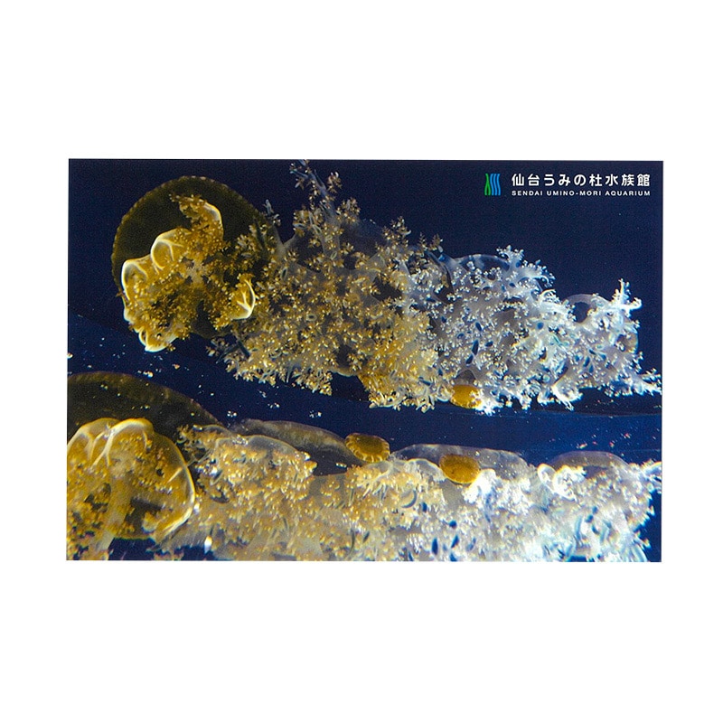 �ݥ��ȥ����ɡʥ��������饲��