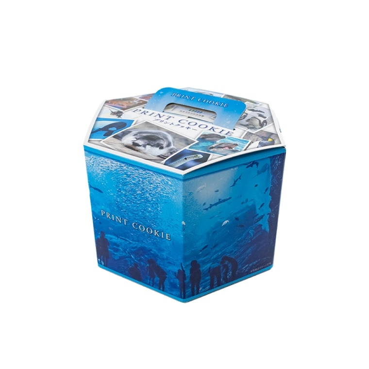 ���椦�ߤ��ο�²�� ϻ�ѥץ��ȥ��å����ʥ᡼�ץ�̣��