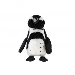 ꥸʥ륱ץڥ󥮥֤դסS