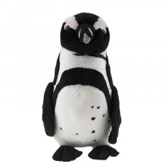 ꥸʥ륱ץڥ󥮥֤դסM