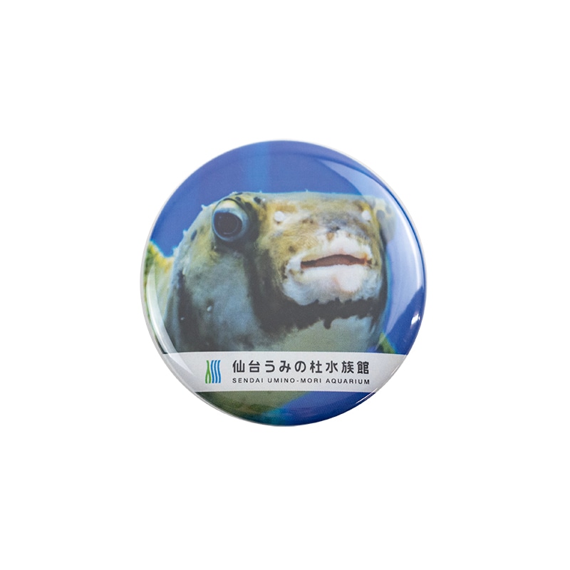 椦ߤο²ۥޥͥå(ե)