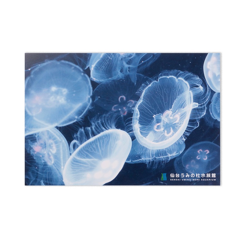 ���椦�ߤ��ο�²�ۥݥ��ȥ����� �ߥ����饲