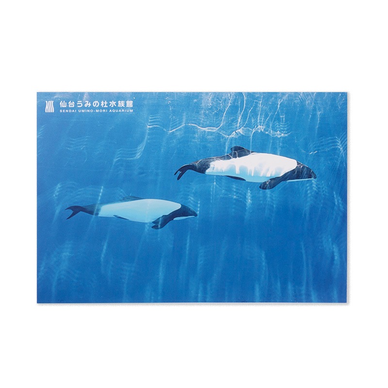 ���椦�ߤ��ο�²�ۥݥ��ȥ����� �����辰���륫