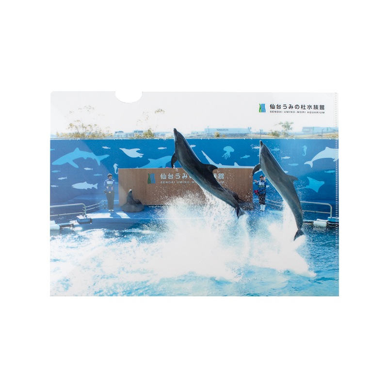 ���ꥢ�ե�����ʥХ�ɥ����륫��