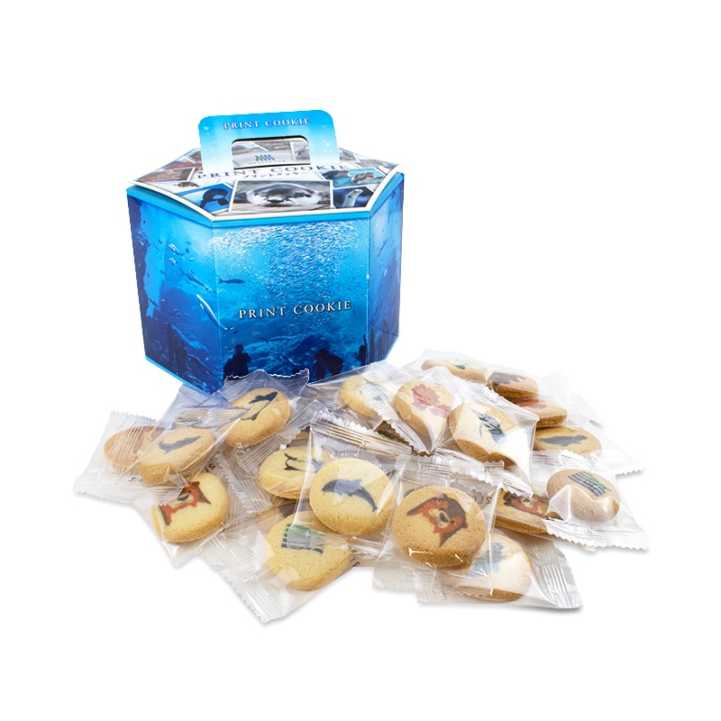 ���椦�ߤ��ο�²�� ϻ�ѥץ��ȥ��å����ʥ᡼�ץ�̣��