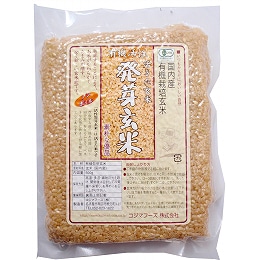 ߼2025ǯ11ʹߡͭȯ긼 500g