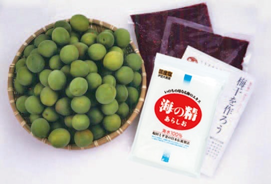 ߼սλ߼Ťߴåȡʼ浪ޤۡ 6/116/15