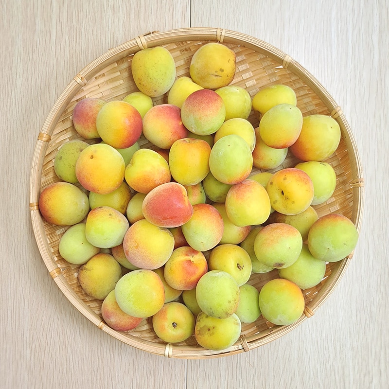 �߼��ս�λ�� �ߴ��ѡ�ͭ������ 2kg���ʼ浪�ޤ����ۡ������� 6/17��6/21�ۢ����ڡ�6/10(��)13:00�ޤǢ�