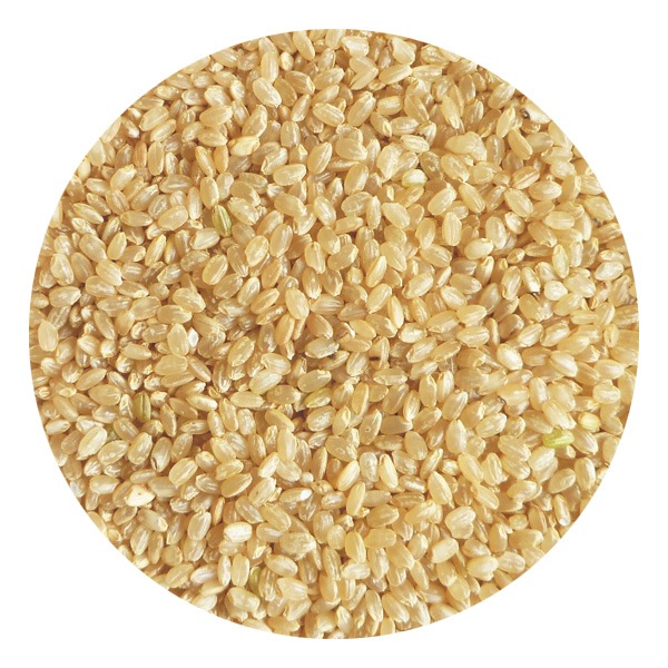 2025ǯ�ٻ� ���� 5kg�����ɸ����ۡڥҥΥҥ���ۢ����̸��ꢨ