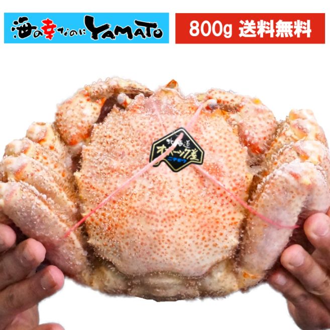 【堅蟹】厳選！希少な超特大サイズ！北海道オホーツク紋別産“浜茹で”毛蟹 800g