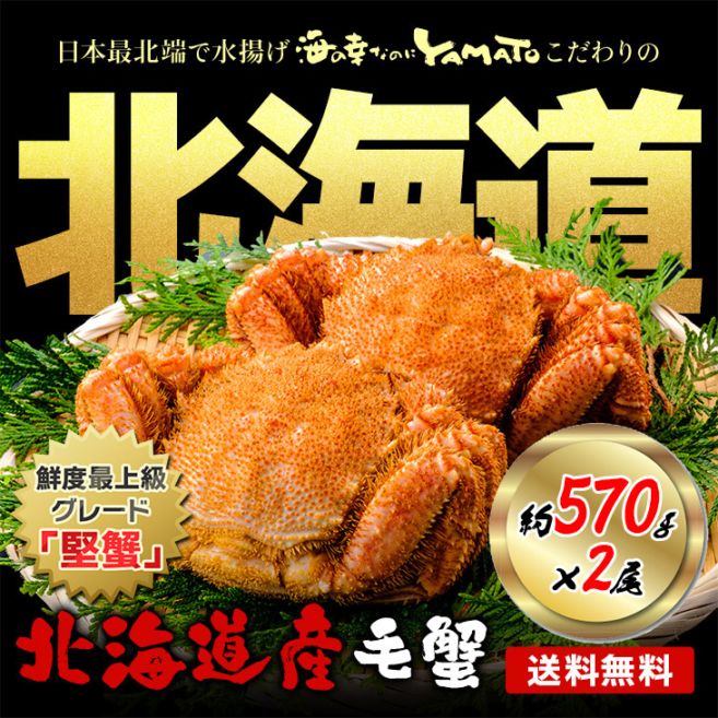 海の幸なのにYAMATO 公式通販サイト 北海道産 毛蟹 570gサイズ×2