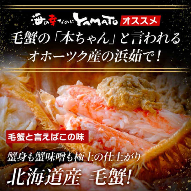 北海道産　冷凍ゆで毛ガニ570g×3 流氷明け｜浜茹で毛蟹（冷凍）｜570g×1｜北海道枝幸産