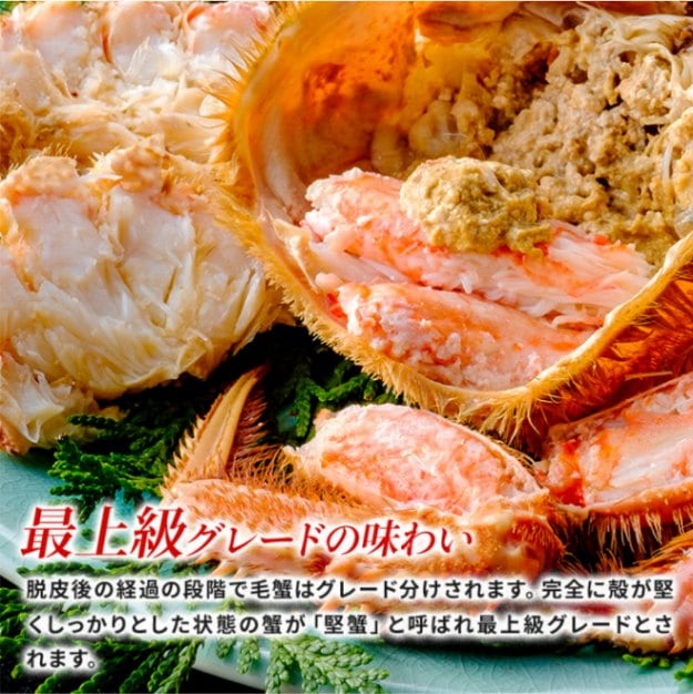 海の幸なのにYAMATO 公式通販サイト 北海道産 毛蟹 570gサイズ×2