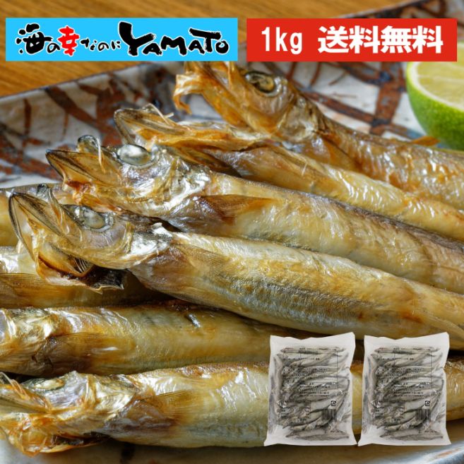 子持ち シシャモ 一夜干し 山盛り1kg(500g×2袋) 