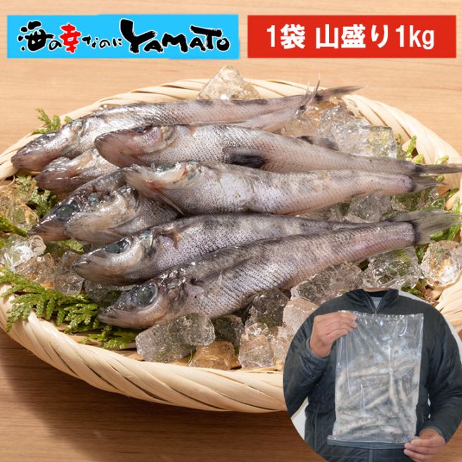 三陸石巻産 メヒカリ 選べる500g~1kg 