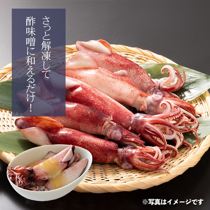 カリフォルニア ボイルヤリイカ 500g 18尾以上