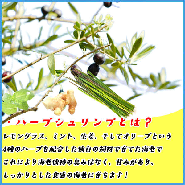ハーブシュリンプ 特大剥き海老 NET1kg