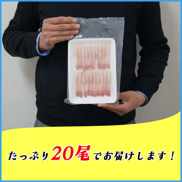 尾付き大和甘えび 20尾