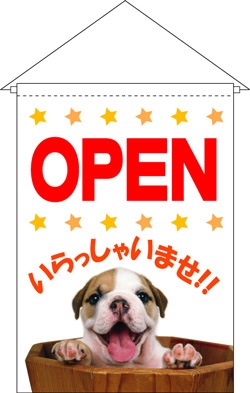 �ե�å���OPEN ����ä��㤤�ޤ���S605-01[7�Ķ���]