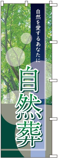 �Τܤ���ڼ������S76304