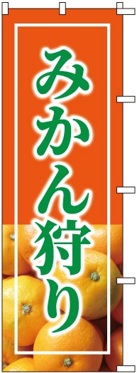 �Τܤ�	S76557	�ڤߤ�������