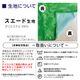 �޿���CS80117�ڿ���60��12��W720(4��)��H180��