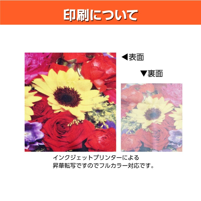 Хʡڥǡƥץ71175cm<br> 1100B7029