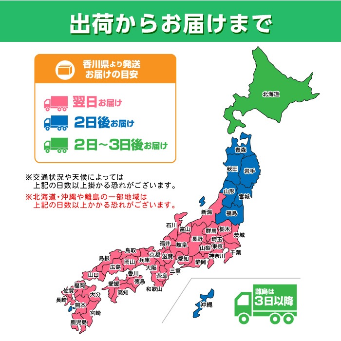 �Τ��ڥǡ������ƥץ��170��60cm��A1029