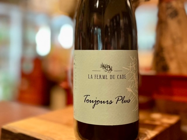 トゥージュール・プリュス 2021（TOUJOURS PLUS 2021）赤