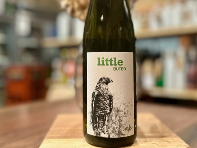 リトル・ブテオ 2022（Little Buteo 2022）白