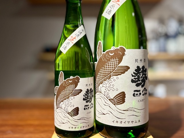 勢正宗　純米carp(カープ) 無濾過生原酒 R6BY 1800ml【数量限定】※要冷蔵