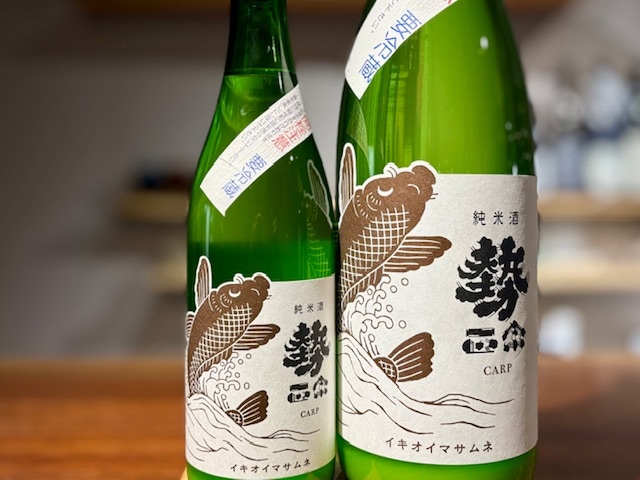 勢正宗　純米carp(カープ) 無濾過 おりがらみ生原酒 R6BY 1800ml【数量限定】※要冷蔵