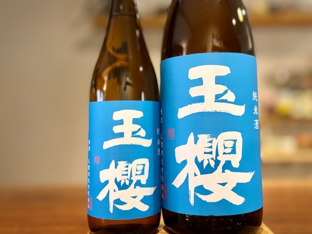 玉櫻　純米 青ラベル 五百万石 火入れ R6BY 1800ml【数量限定】