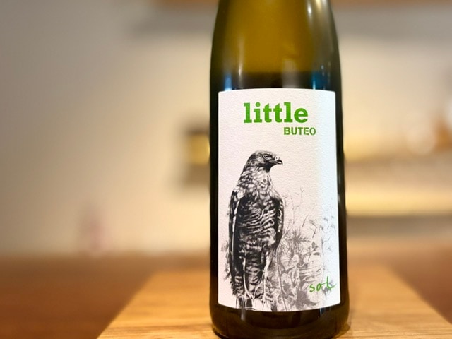 リトル・ブテオ 2023（Little Buteo 2023）白