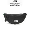 THE NORTH FACE(ザノースフェイス)ショルダーバッグ 小物入れ スマホ White Label MESSENGER S NN2PN50J |THE NORTH FACE